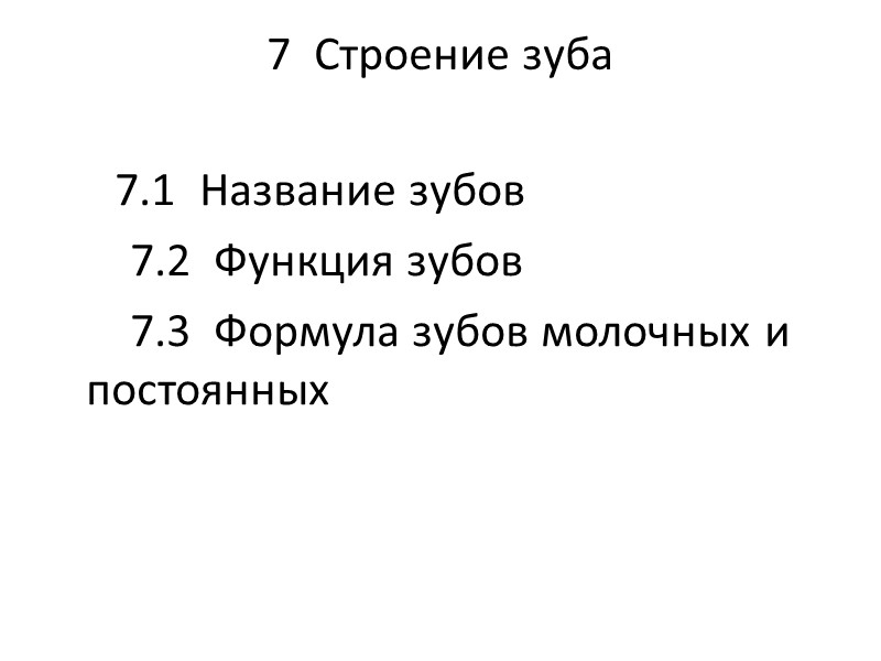 7  Строение зуба         7.1 